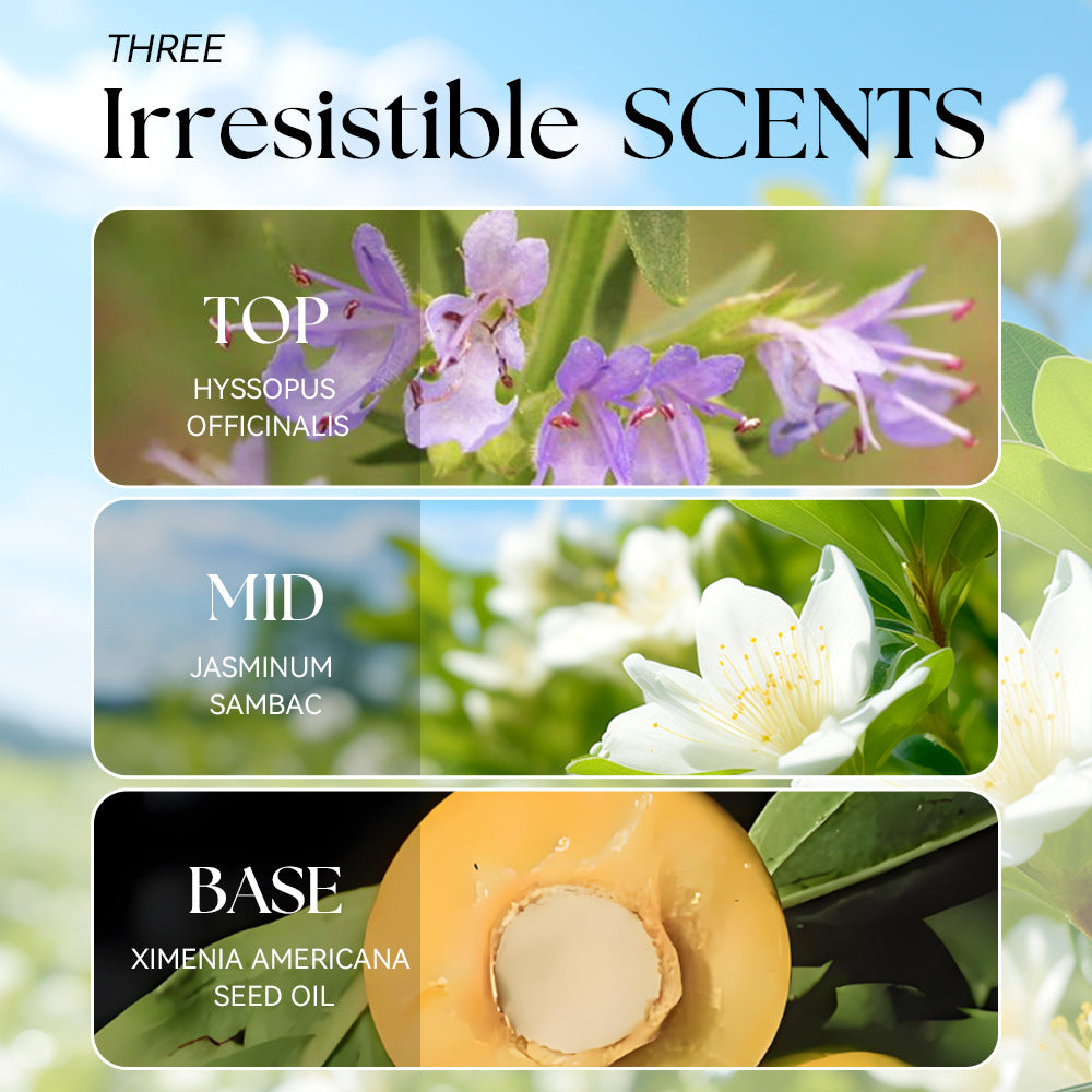 magen del carrusel 33